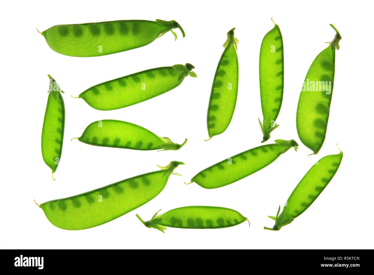 sugar peas,mangetout (pisum sativum) Stock Photo