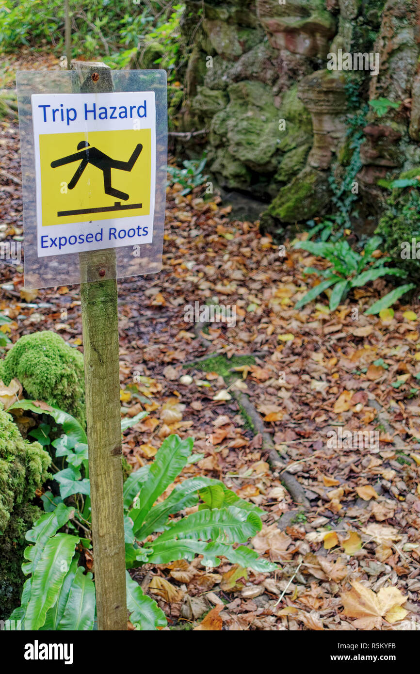 Trip hazard exposed roots warning sign in Scottish garden open to the public. Stock Photo