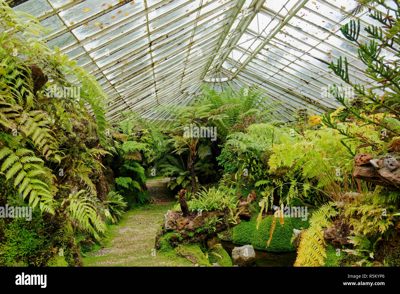 The Sunken Victorian Fernery at Ascog Hall Garden near Rothesay in the Isle of Bute, Argyll, Scotland. Stock Photo