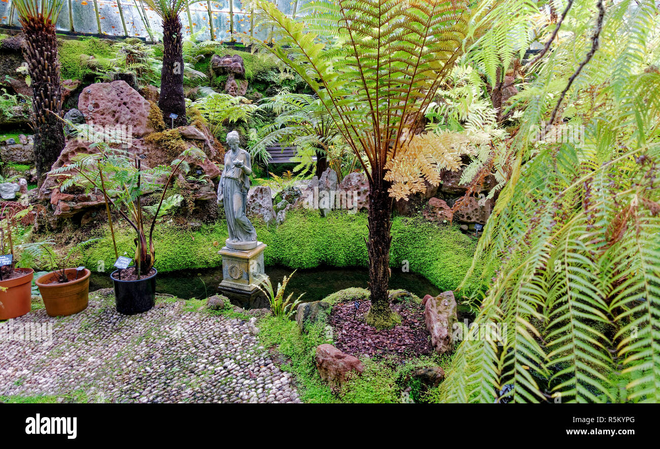 The Sunken Victorian Fernery at Ascog Hall Garden near Rothesay in the Isle of Bute, Argyll, Scotland. Stock Photo
