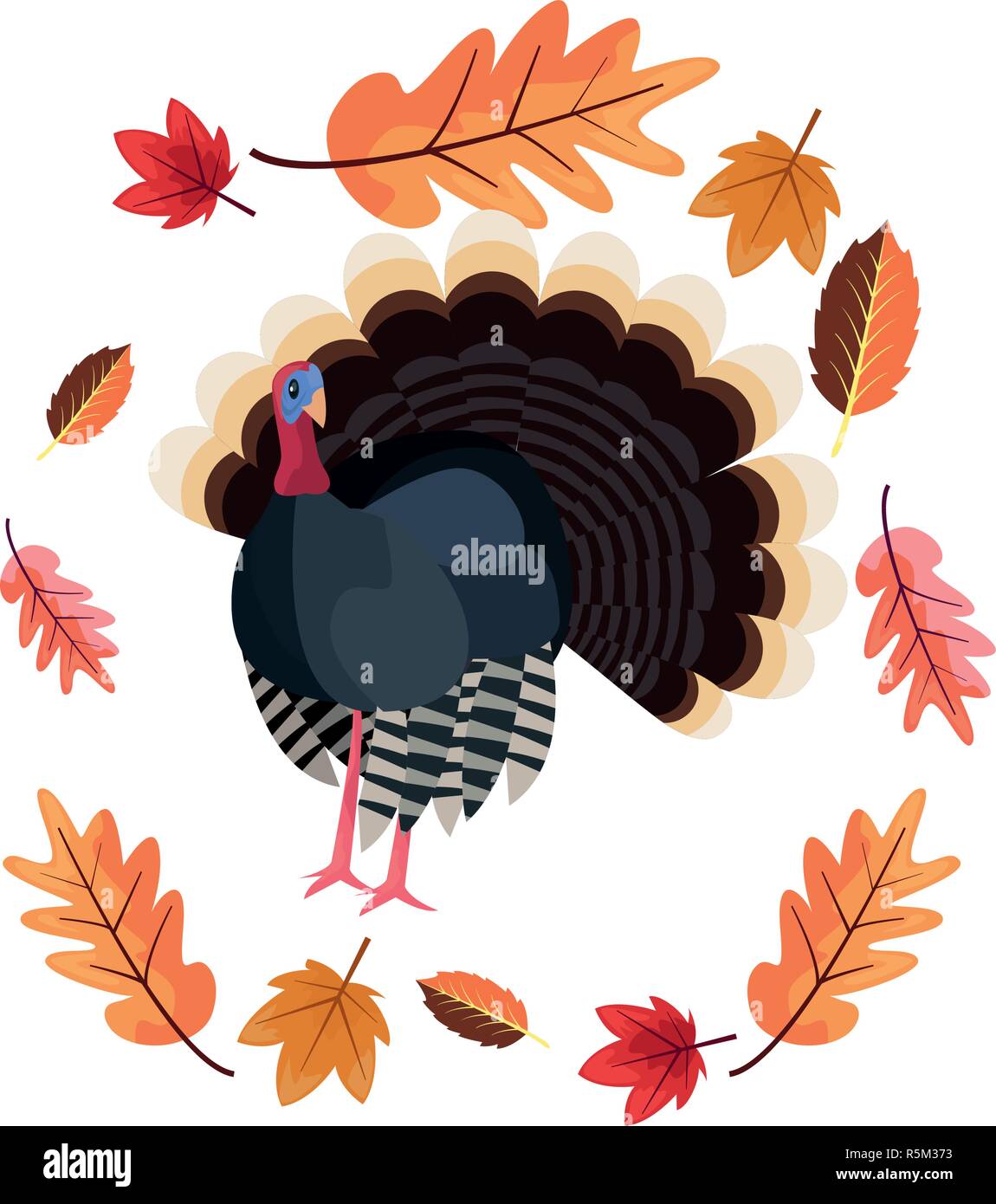 thanksgiving turkey and wreath leaves vector illustration vector ...