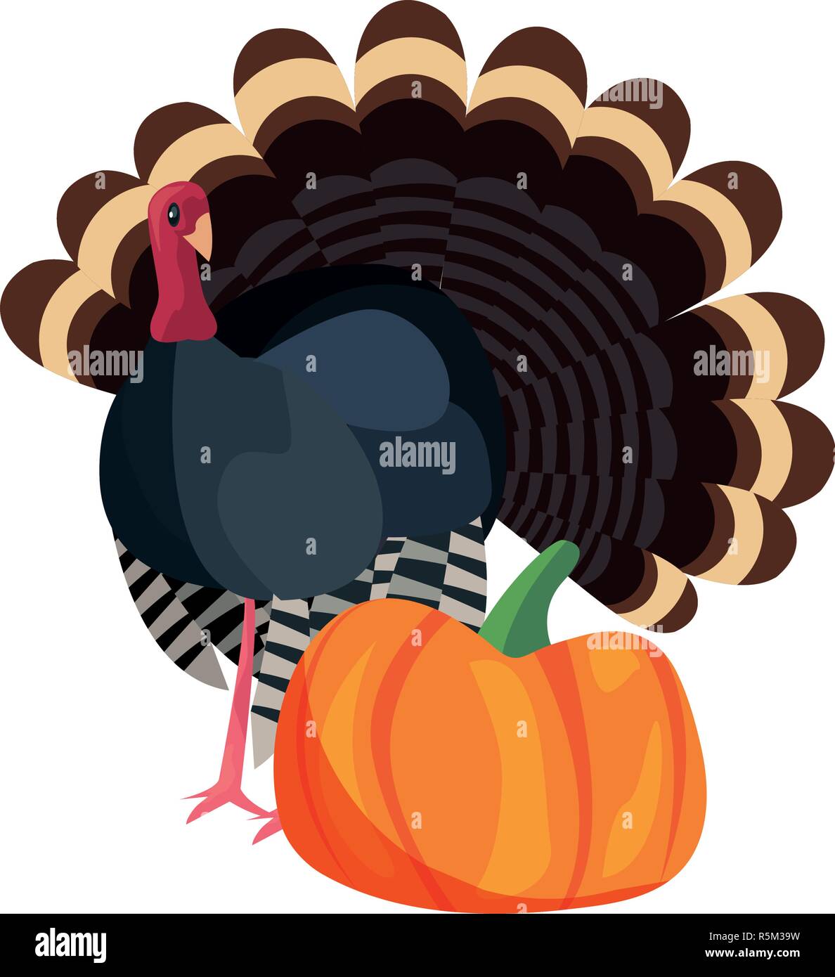 thanksgiving turkey and pumpkin food vector illustration vector ...