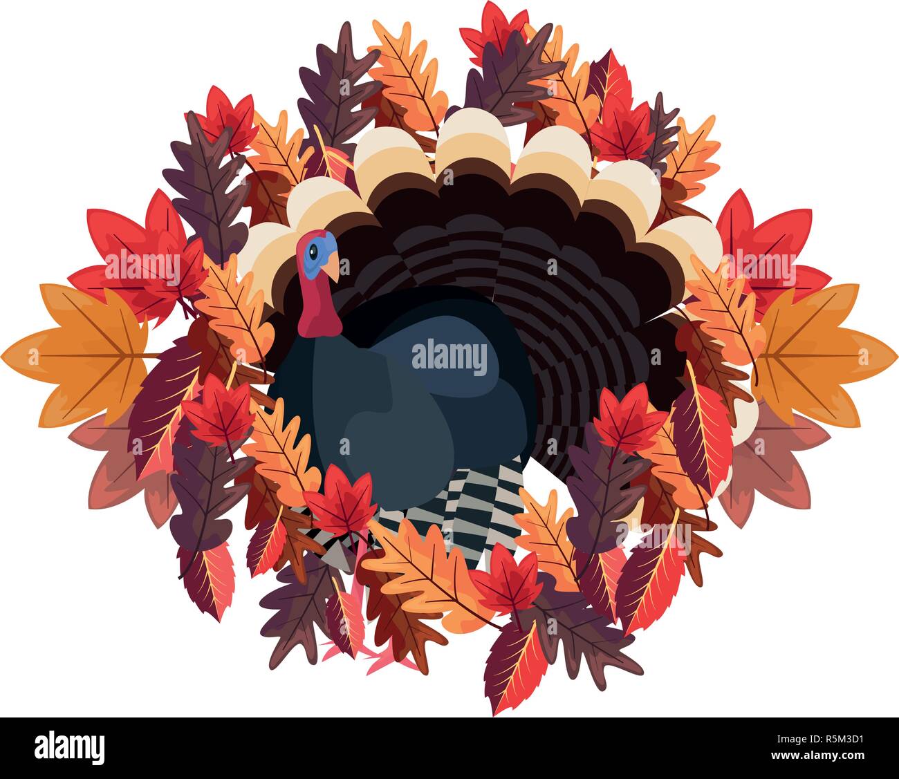 cute turkey and maple leaves vector illustration vector illustration ...
