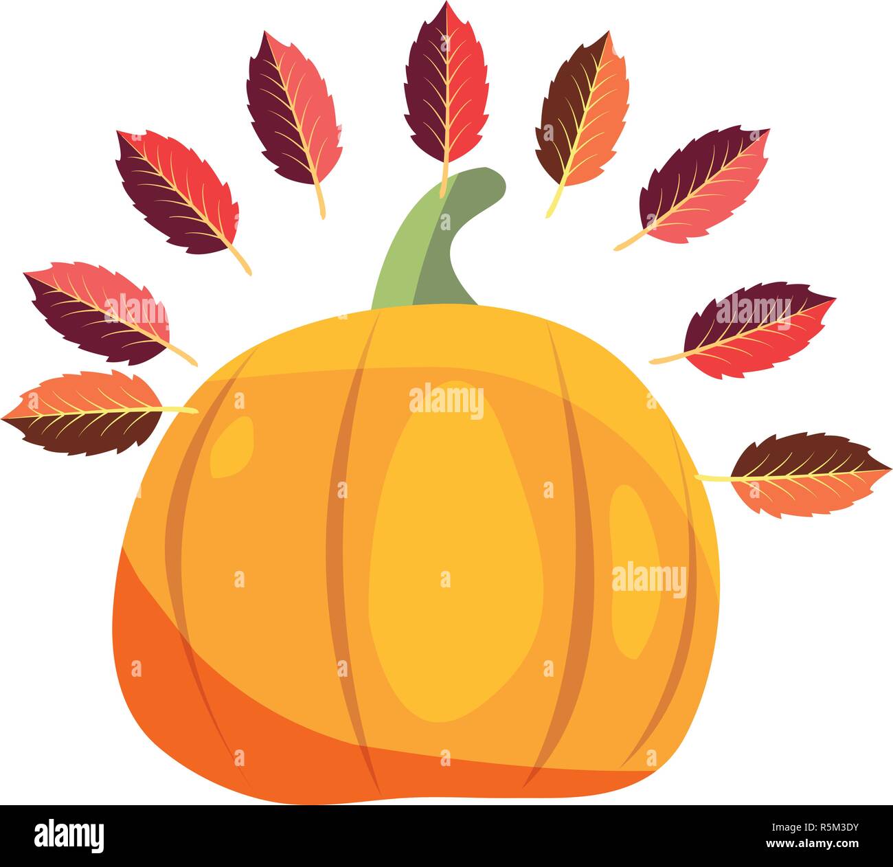 pumpkin leaves decoration thanksgiving celebrate vector illustration ...