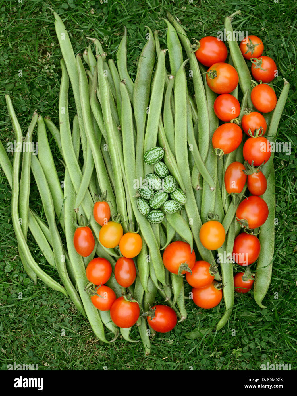Fresh green runner beans with tomatoes and cucamelons Stock Photo