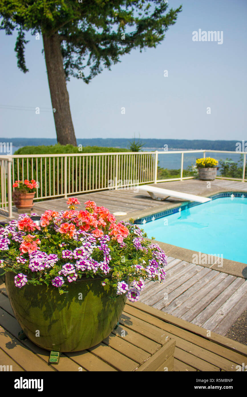 Outdoor private pool with jumping board Stock Photo - Alamy
