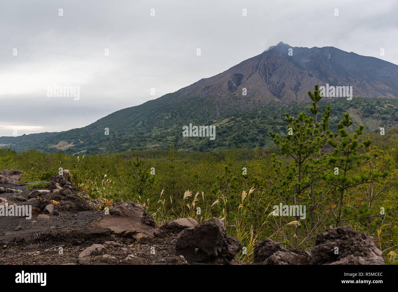 Sakurajima in Japan Stock Photo - Alamy