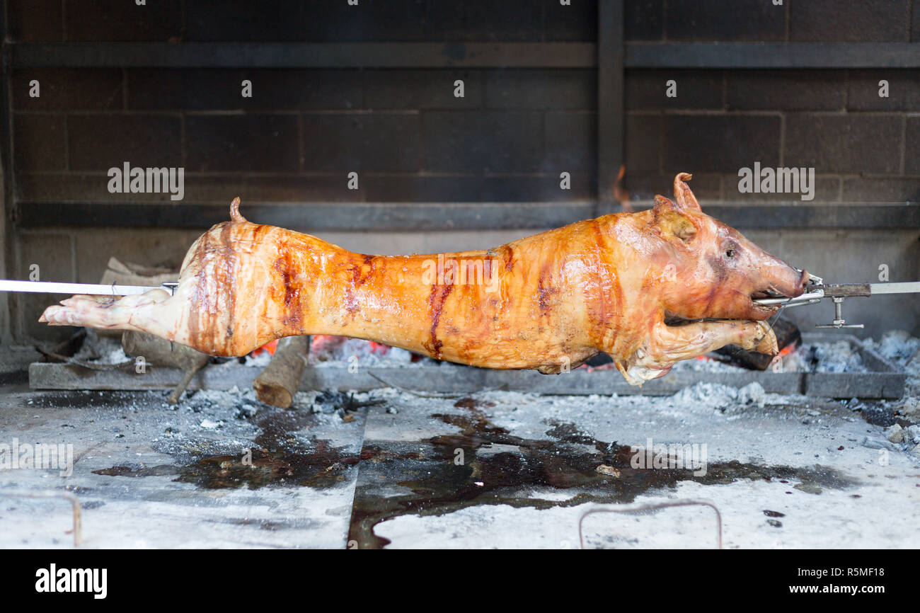 Red roasted juicy pig spinning on the spit Stock Photo