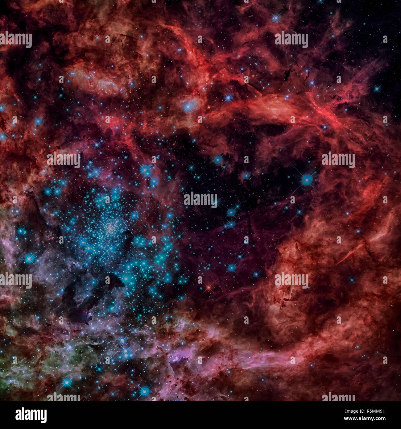 Star cluster in the Tarantula Nebula. Large Magellanic Cloud Stock ...