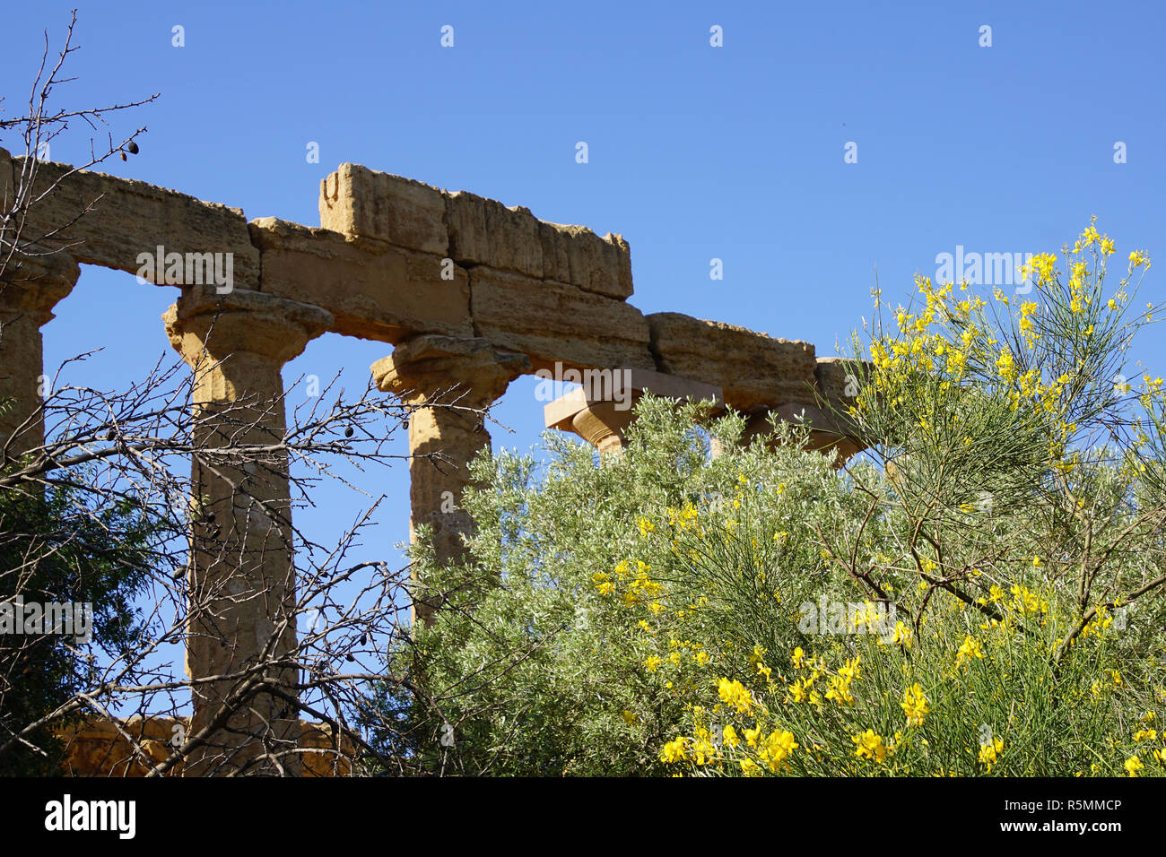 agrigento,sicily,valley of the temples Stock Photo