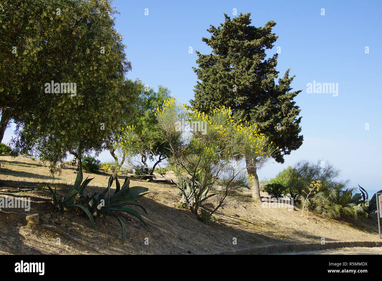 agrigento,sicily,in the valley of the temples Stock Photo