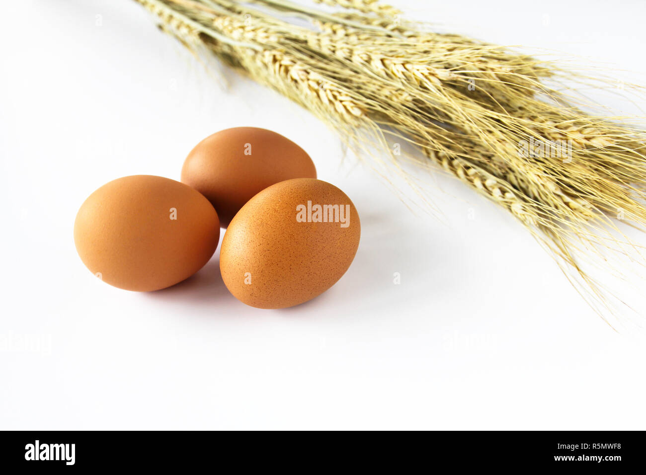 Fresh eggs and wheat on a white background Stock Photo Alamy