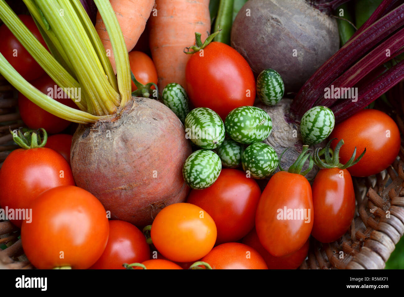 Red tomatoes, rainbow beetroot, pepquino and carrots Stock Photo