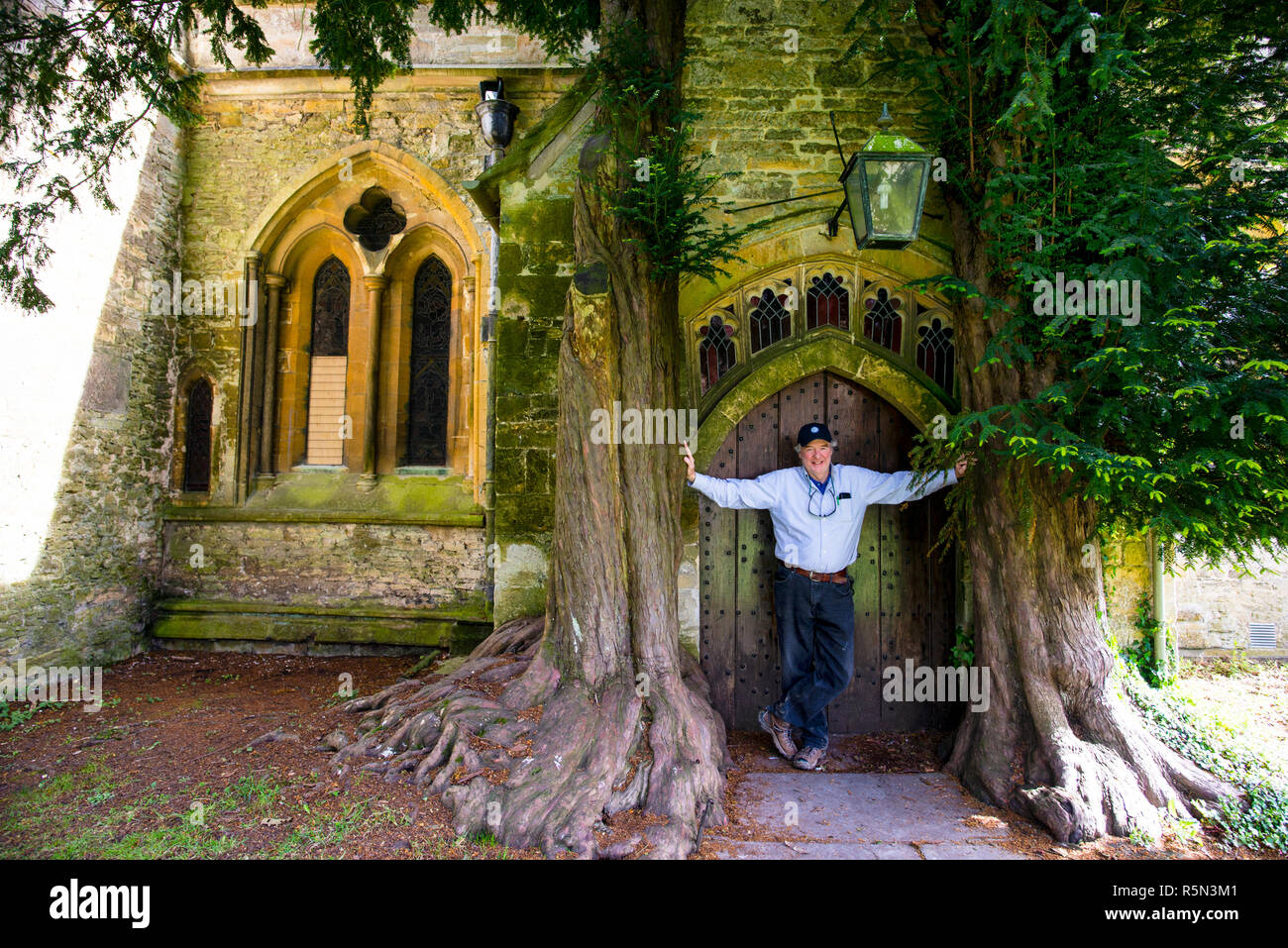 Saint Edwards Church Yew Trees in the market town of Stow on the Wold, The Cotswolds, England. Stock Photo