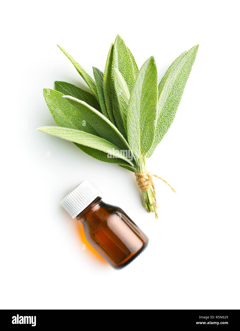 Bottle of essential sage oil Stock Photo Alamy
