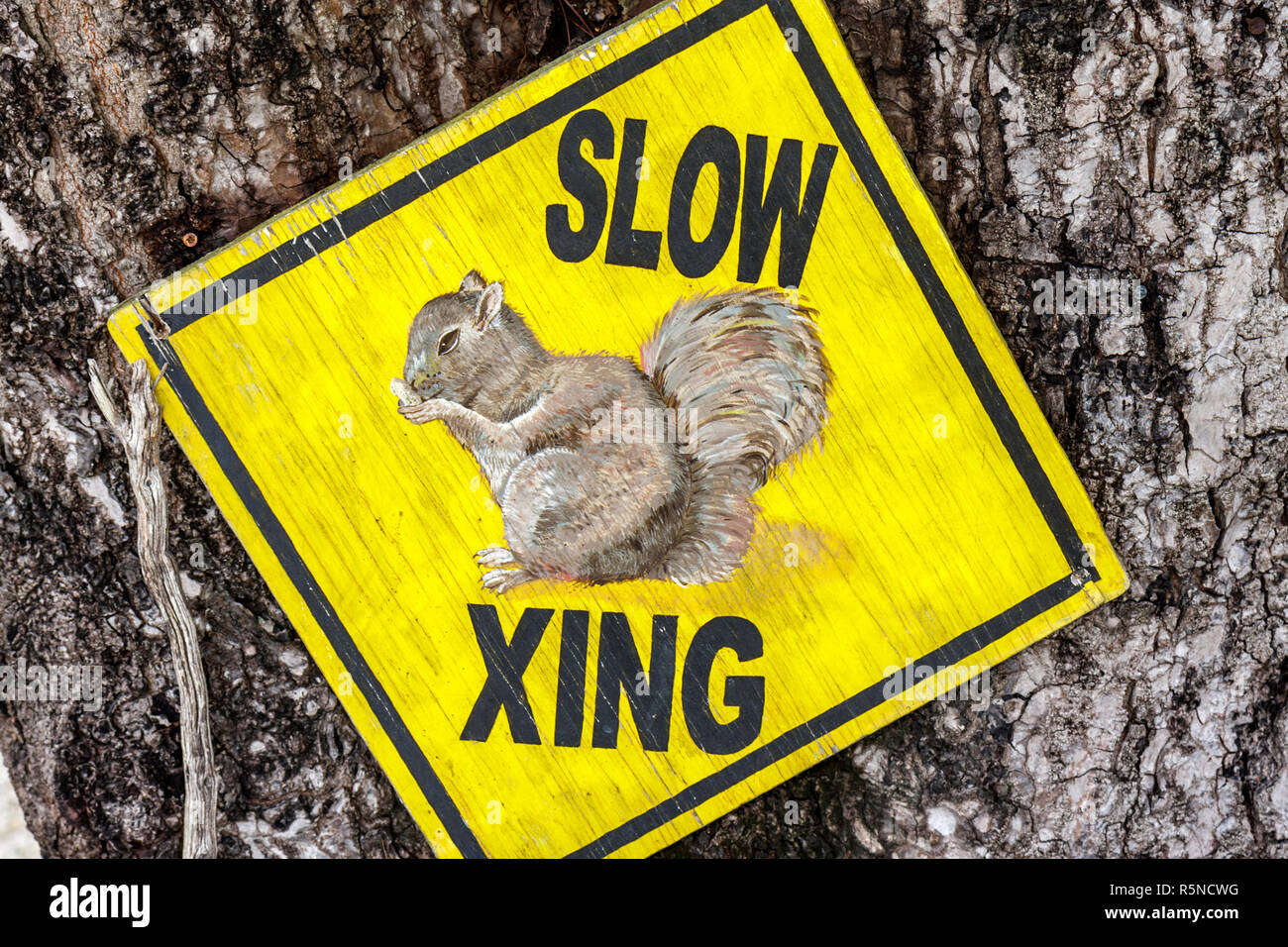 Florida Key Largo Florida Keys,US highway Route 1,Overseas Highway,traffic,road,sign,slow,squirrel crossing,slow,FL090922048 Stock Photo