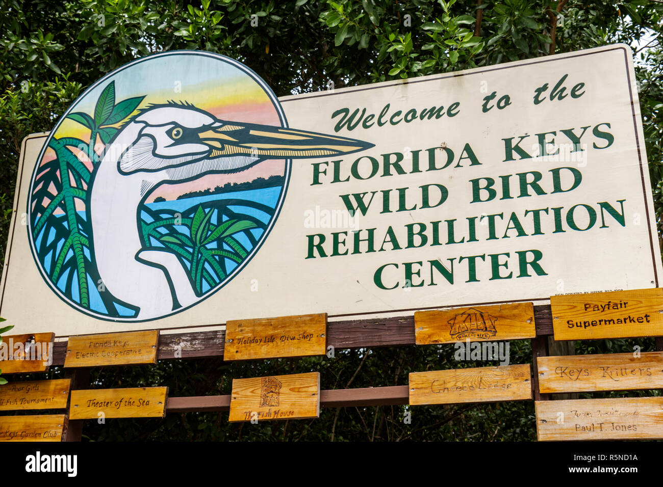 Florida Florida Keys,Tavernier,US highway Route 1,Overseas Highway,Florida Keys Wild Bird Rehabilitation Center,sanctuary,wildlife rescue,shelter,vete Stock Photo