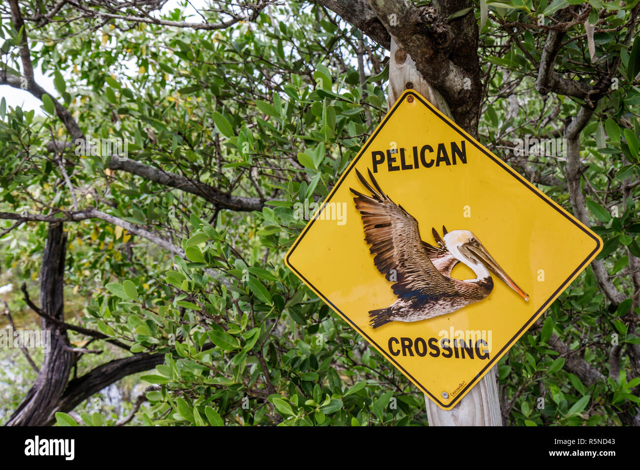 Florida Florida Keys,Tavernier,US highway Route 1,Overseas Highway,Florida Keys Wild Bird Rehabilitation Center,sanctuary,wildlife rescue,traffic,road Stock Photo