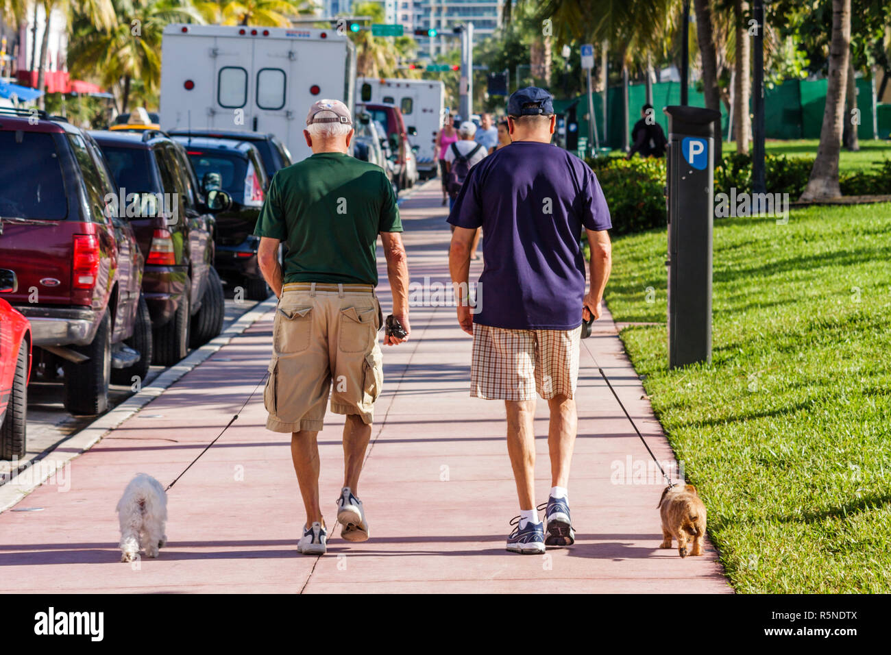 Miami Beach Florida,Ocean Drive,Lummus Park,street,sidewalk,man men