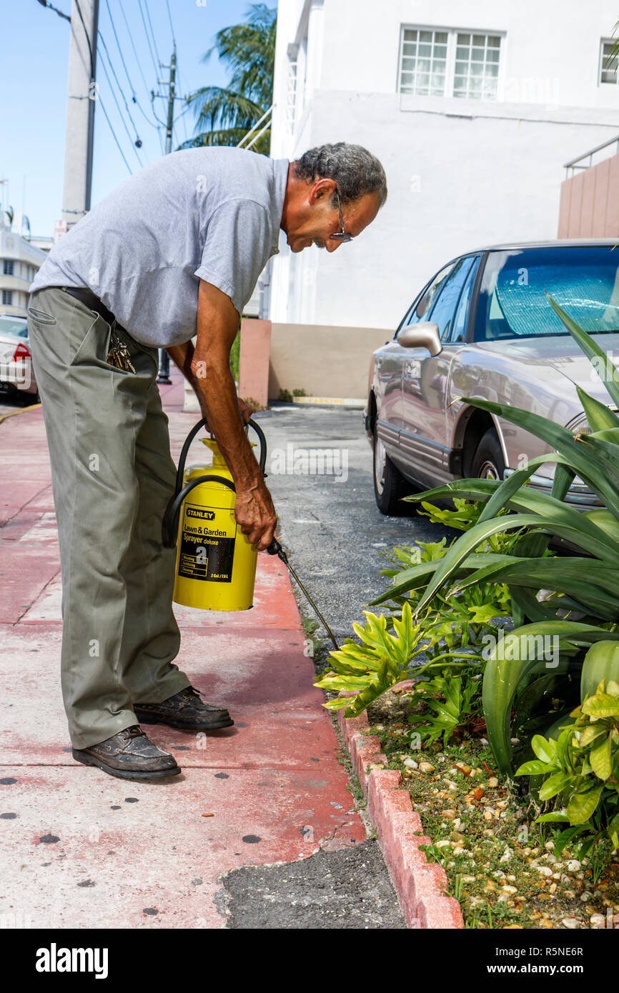 Miami Beach Florida,condominium residential apartment apartments building buildings housing,Hispanic man men male adult adults,building maintenance wo Stock Photo