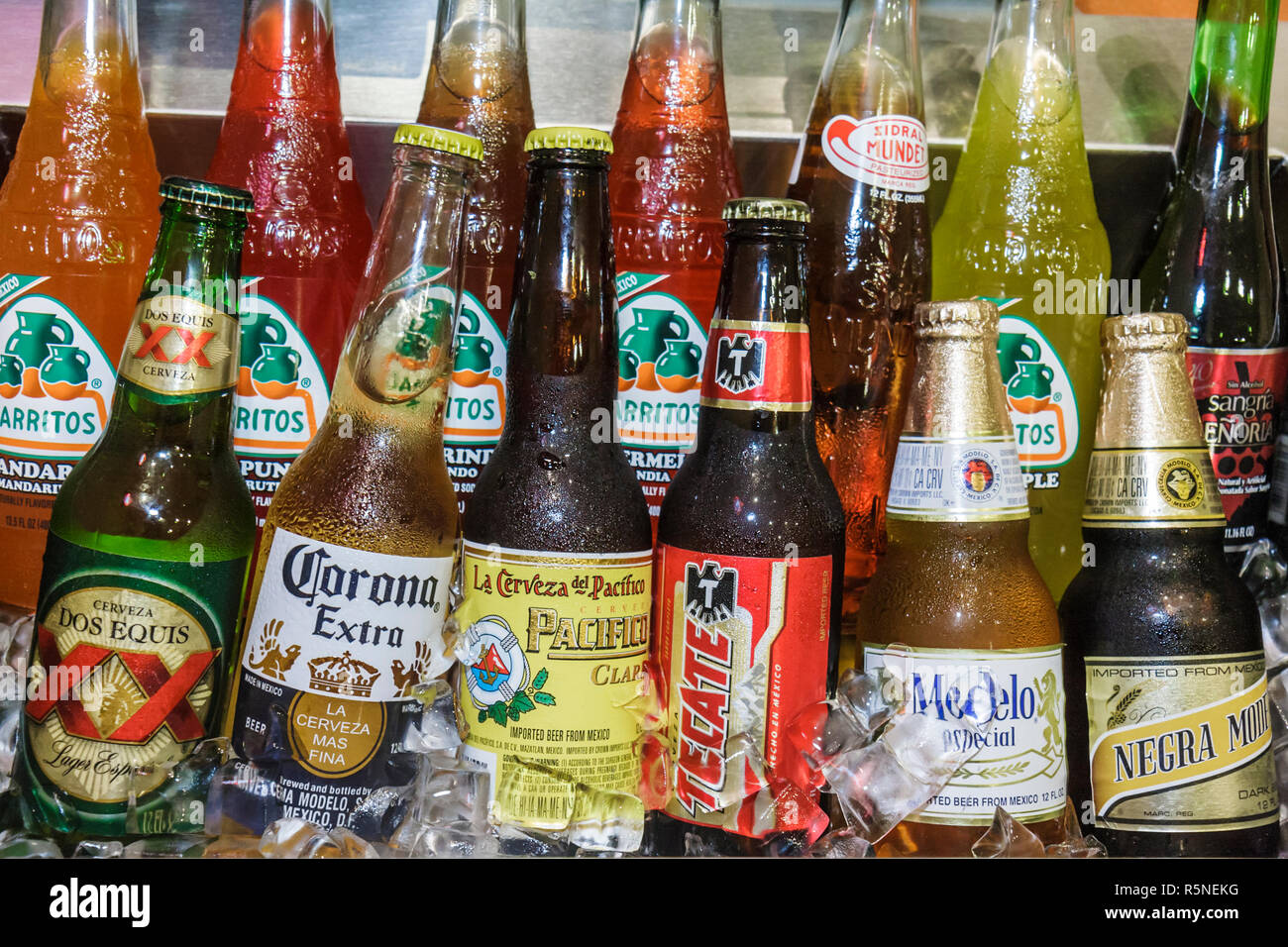 Miami Florida,Coral Gables,Miracle Mile,Chilorio's Very Mexican,restaurant restaurants food dining cafe cafes,cooler,imported beer,Corona,Dos Equis,Te Stock Photo