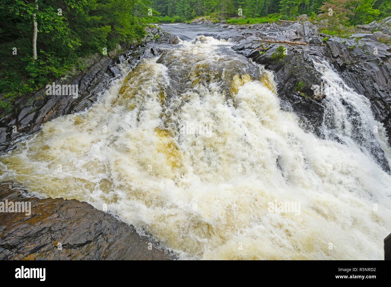 Roaring falls in the Wilderness Stock Photo