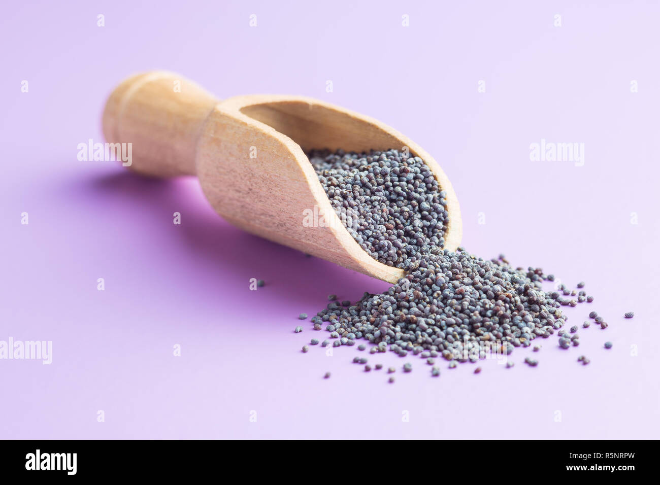 Blue poppy seeds Stock Photo Alamy