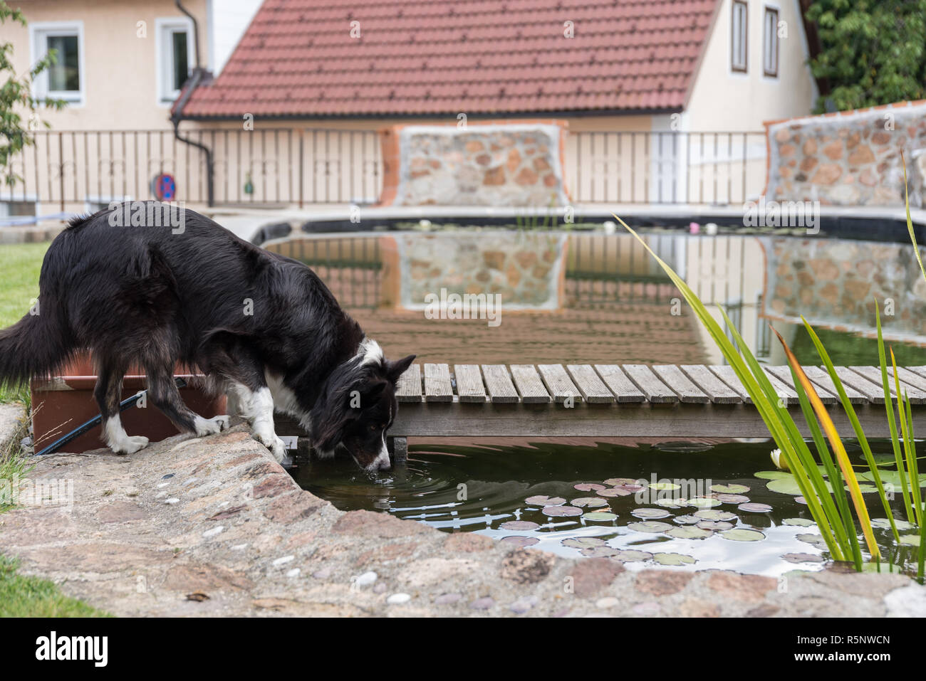 Badeteich hires stock photography and images Alamy
