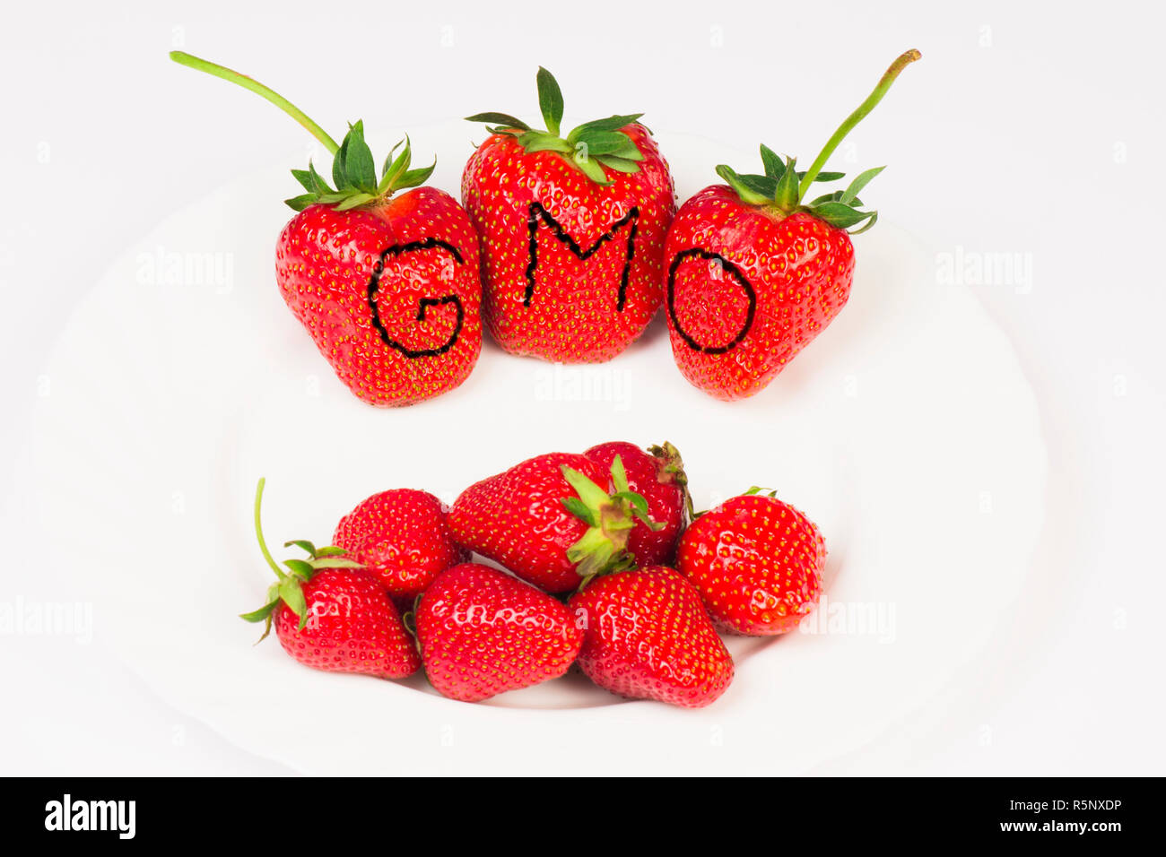 GMO huge strawberries Stock Photo