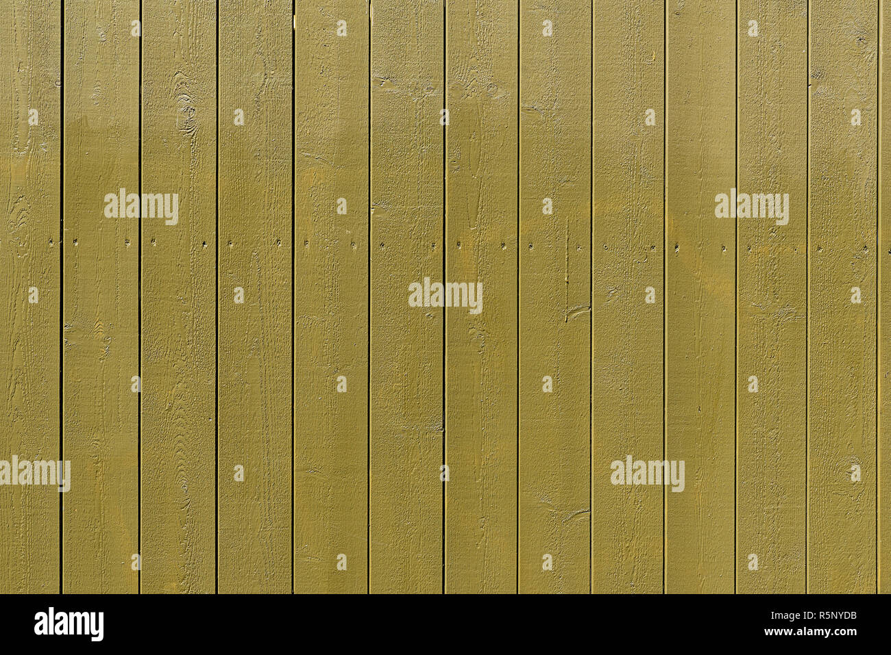 Background from an olive green plank wall Stock Photo