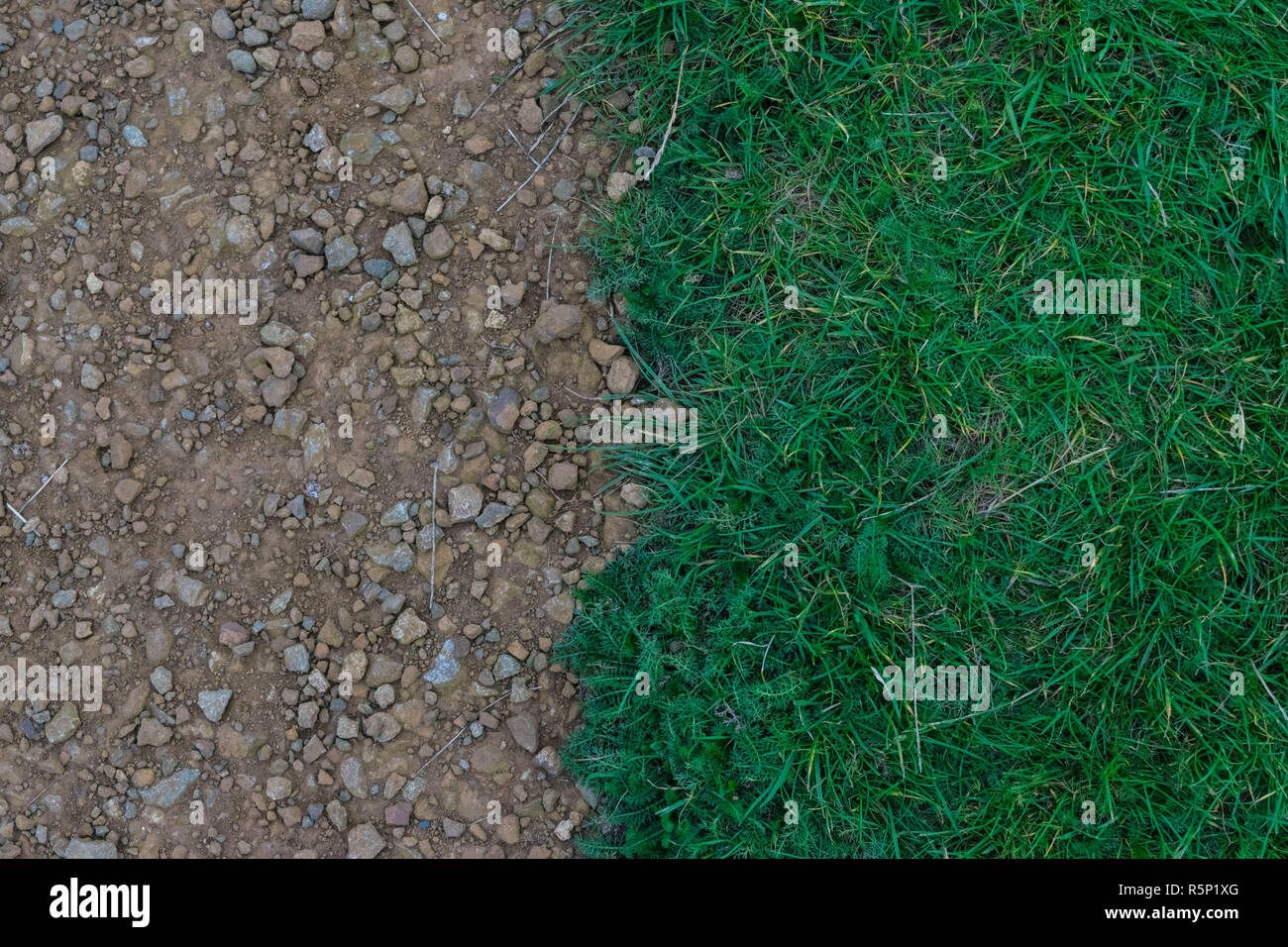 Gravel and Grass Stock Photo Alamy