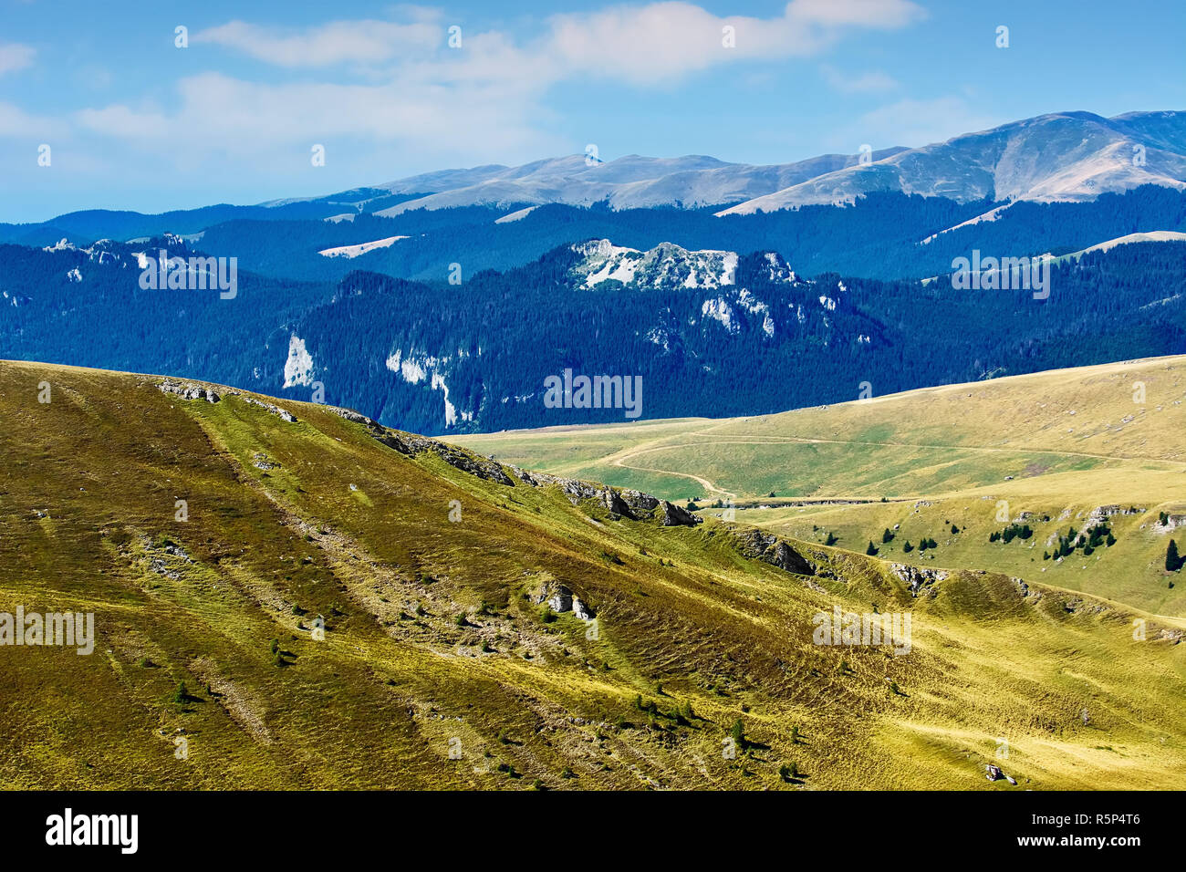 Cota 2000 Sinaia Stock Photo - Alamy