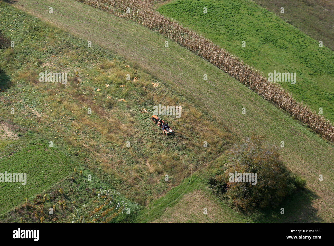 An aerial view of tractor working in a field in Sisljavic Croatia Stock Photo