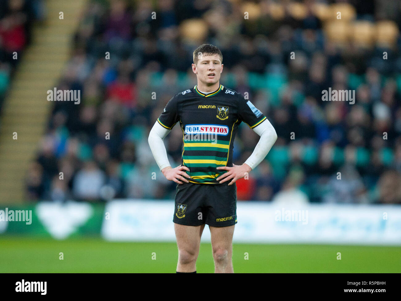 Northampton, UK. 1st December 2018. Fraser Dingwall of Northampton Saints during the Gallagher Premiership Rugby match between Northampton Saints and Newcastle Falcons. Andrew Taylor/Alamy Live News Stock Photo