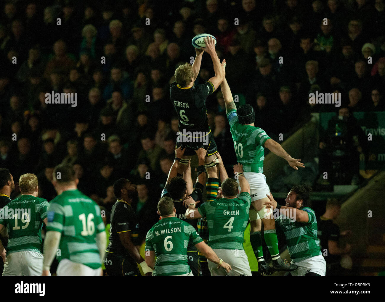 Northampton, UK. 1st December 2018. Jamie Gibson of Northampton Saints wins the line out ball during the Gallagher Premiership Rugby match between Northampton Saints and Newcastle Falcons. Andrew Taylor/Alamy Live News Stock Photo