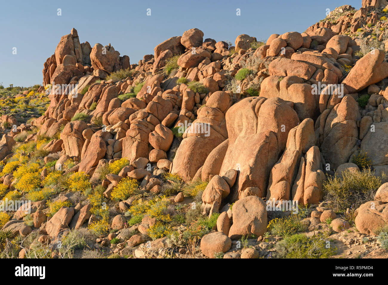 Worn Rocks in the Desert Stock Photo