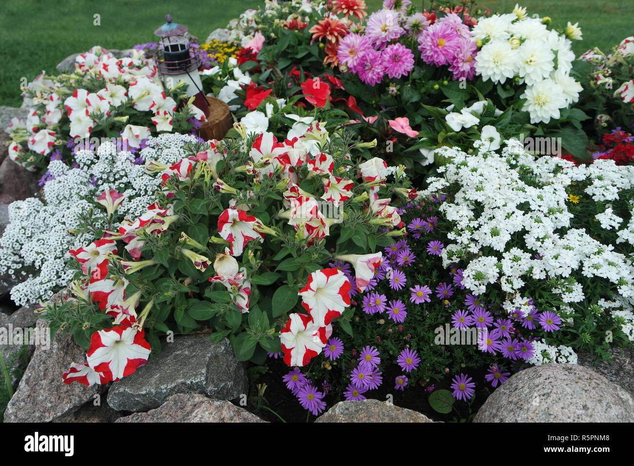 colorful summer garden Stock Photo
