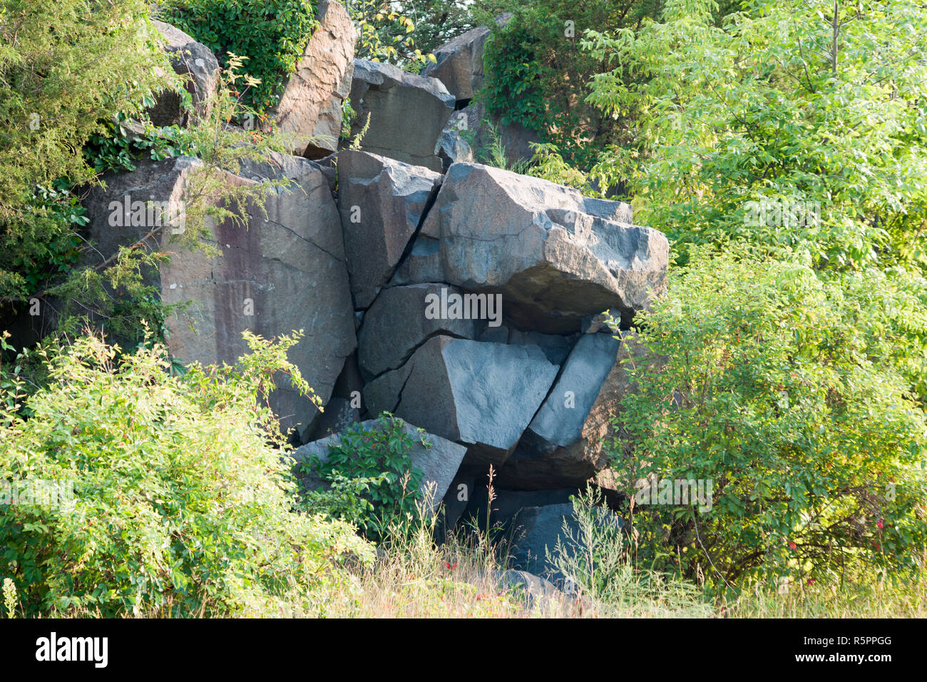 Interstate Park, Minnesota, Taylors Falls, rock face and trees Stock Photo Alamy
