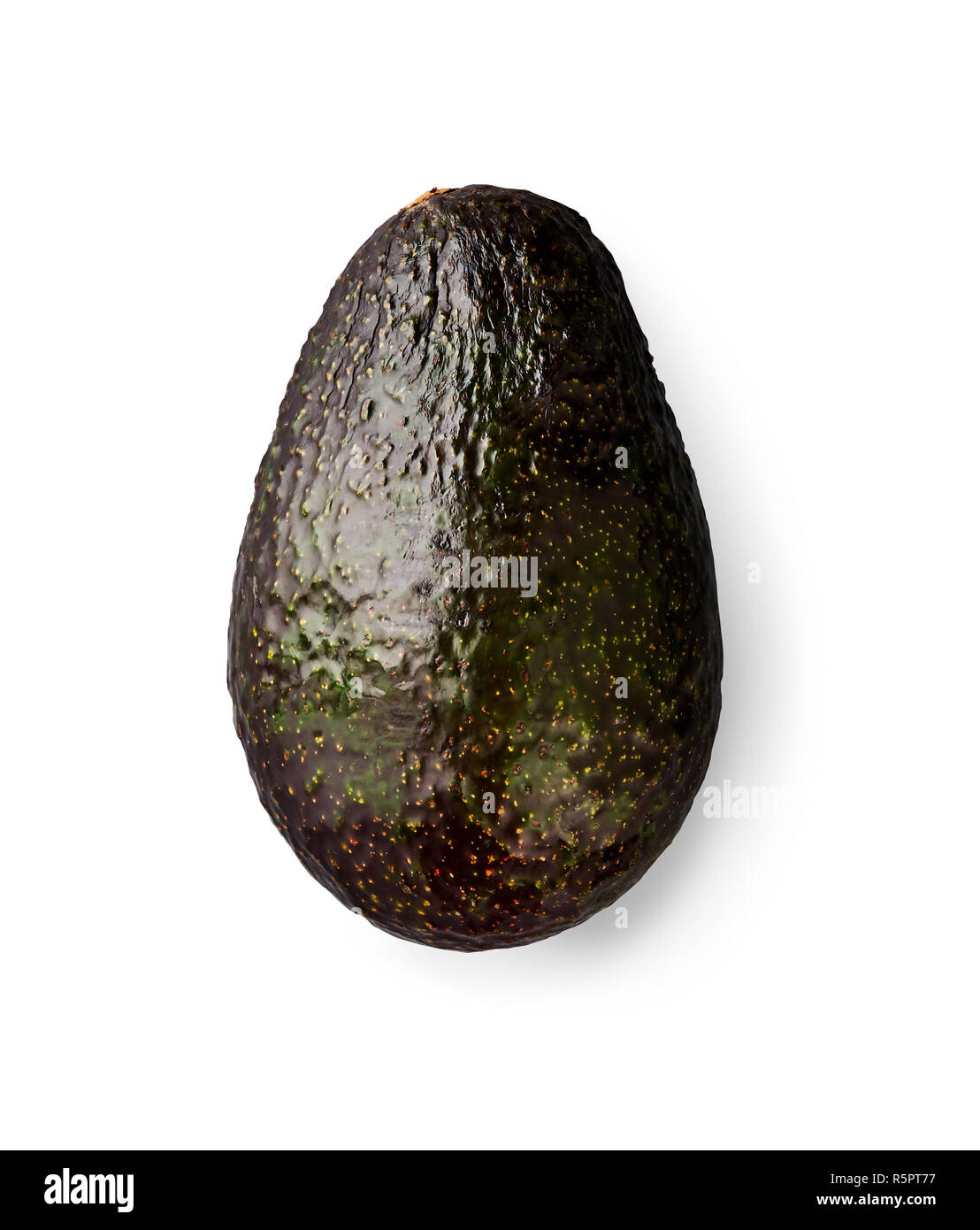 Ripe avocado isolated on white background. Top view of dark green soft avocado. Stock Photo