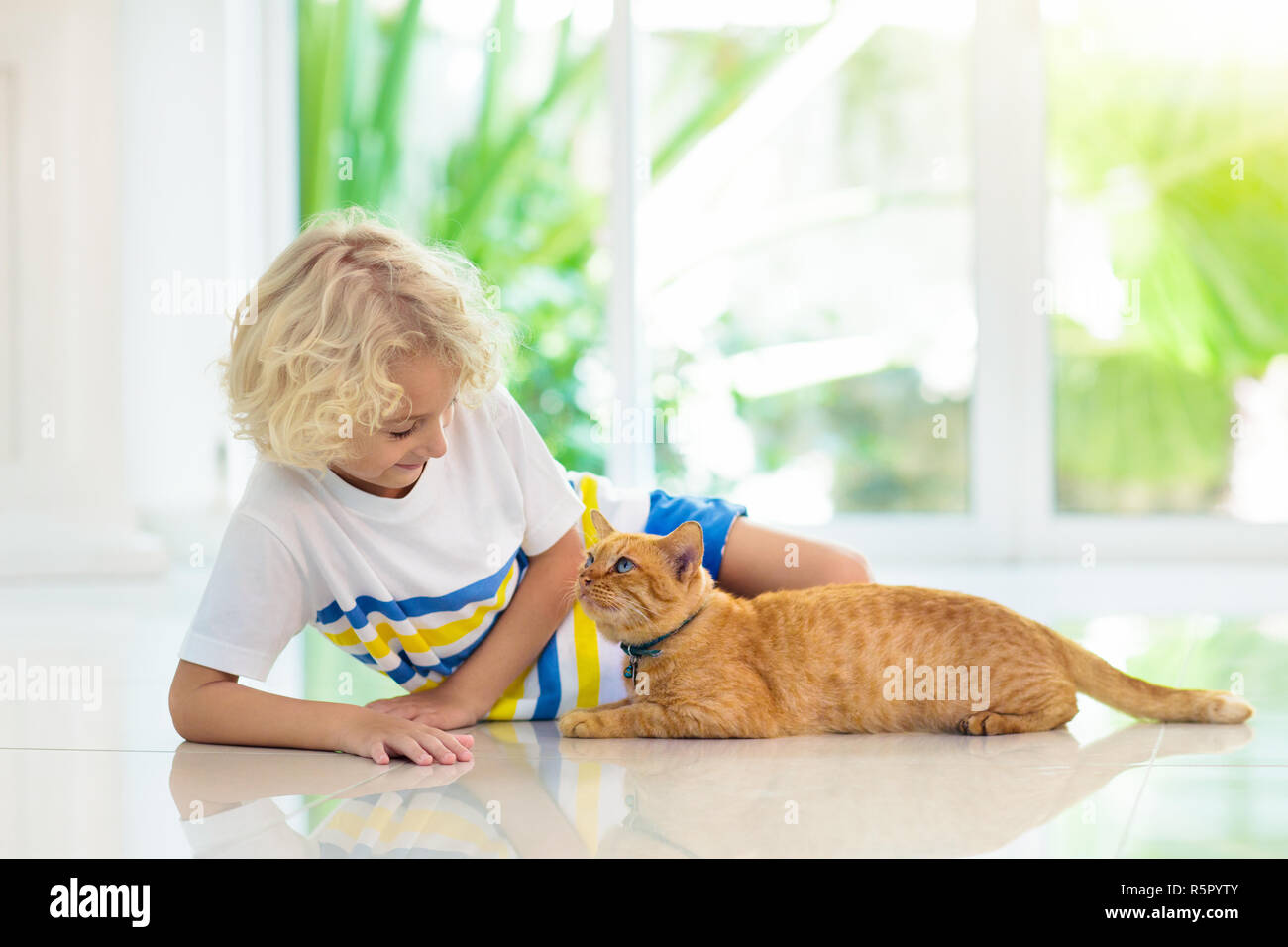 Child feeding cat at home. Kid and pet. Little blond curly boy playing with kitten in white kitchen at window. Domestic animals and pets for children. Stock Photo
