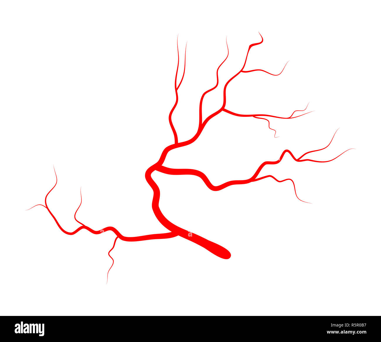 eye vein vector symbol icon design Stock Photo Alamy