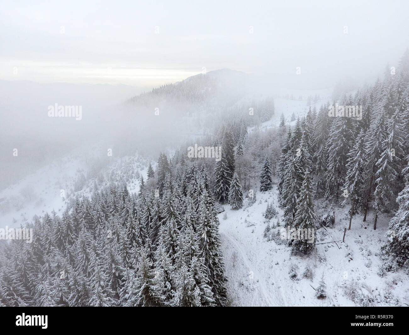 Winter landscape. trees covered with snow in the mountains. Stock Photo