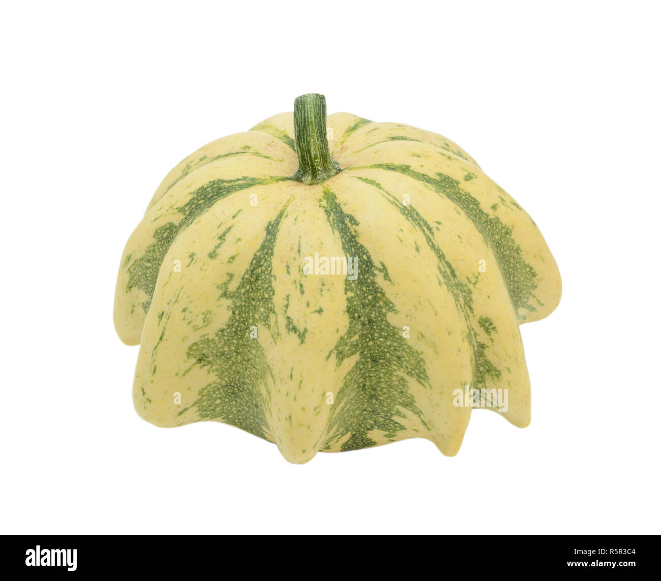 Crown of Thorns ornamental gourd with green stripes Stock Photo