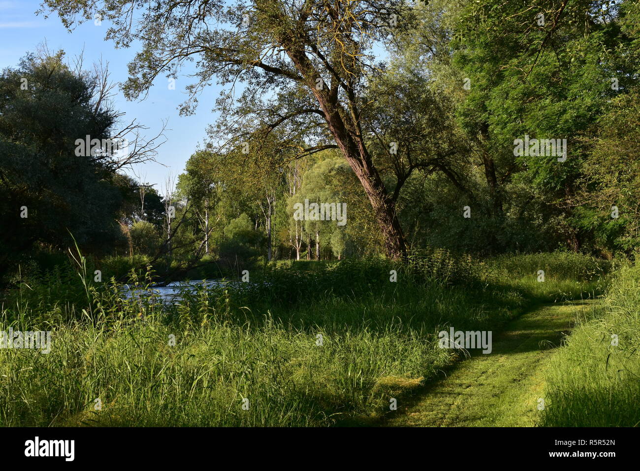 meadow path at the amper Stock Photo