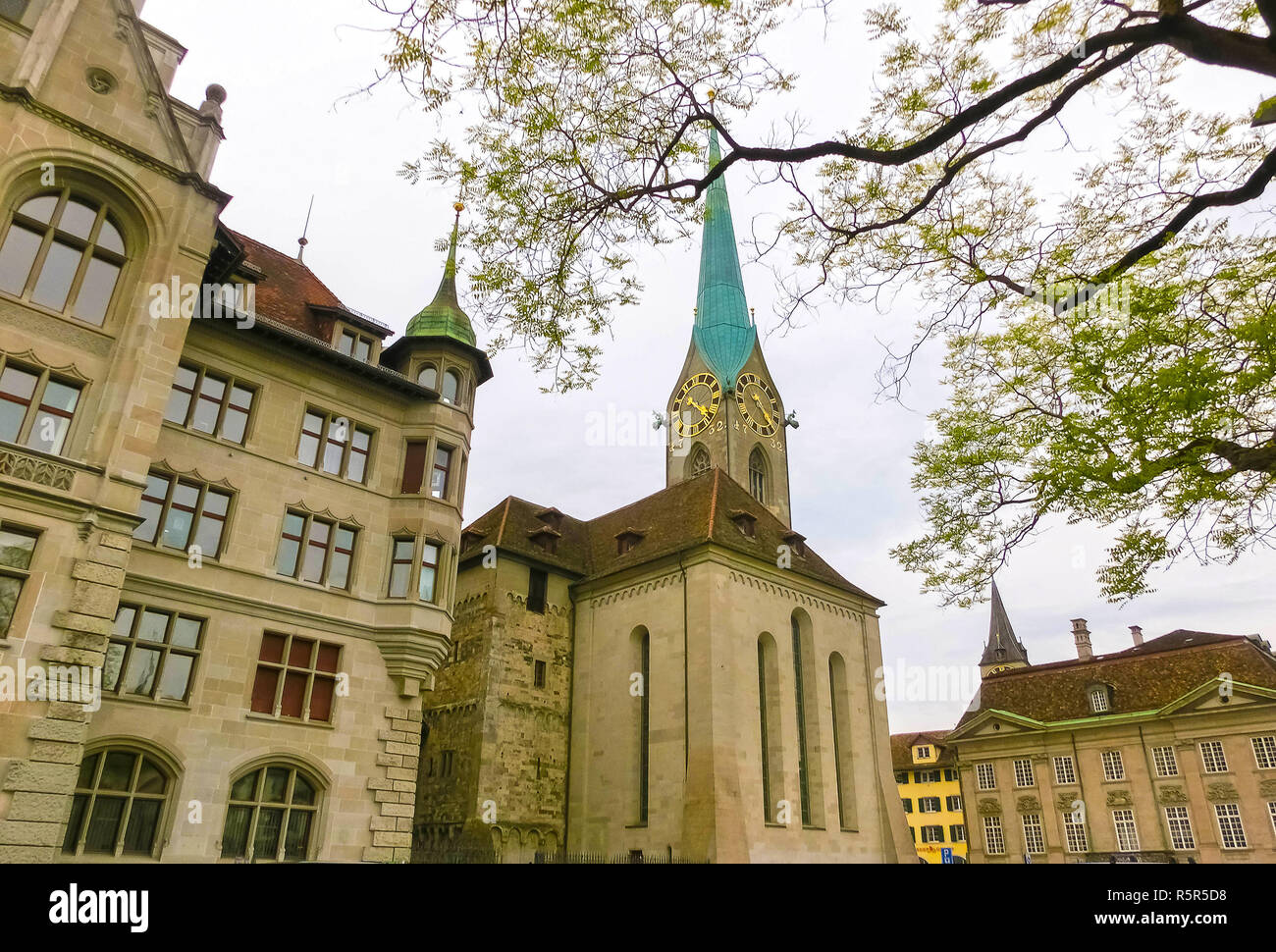 Zurich cityscape with flowers in the foreground, Switzerland Stock