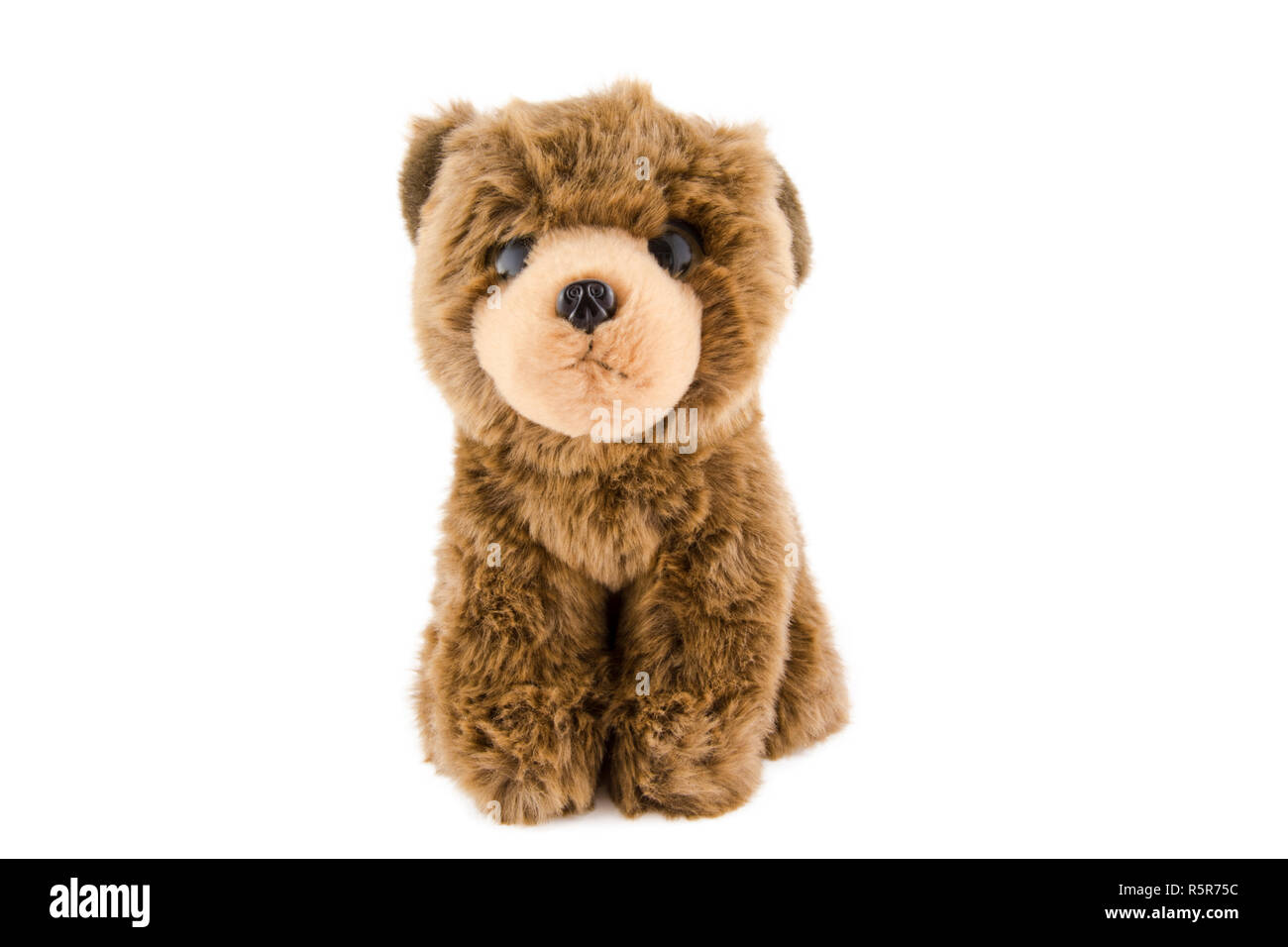 Teddy bear isolated on white background photo Stock Photo - Alamy