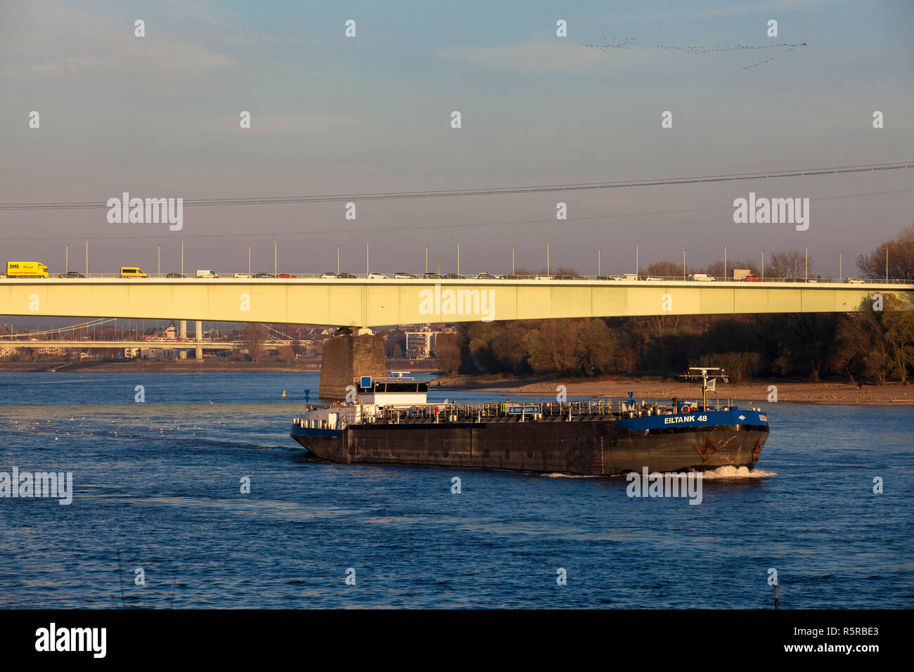 the Zoo bridge and the Muelheimer bridge across the river Rhine, Cologne, Germany.  die Zoobruecke und die Muelheimer Bruecke ueber den Rhein, Koeln,  Stock Photo