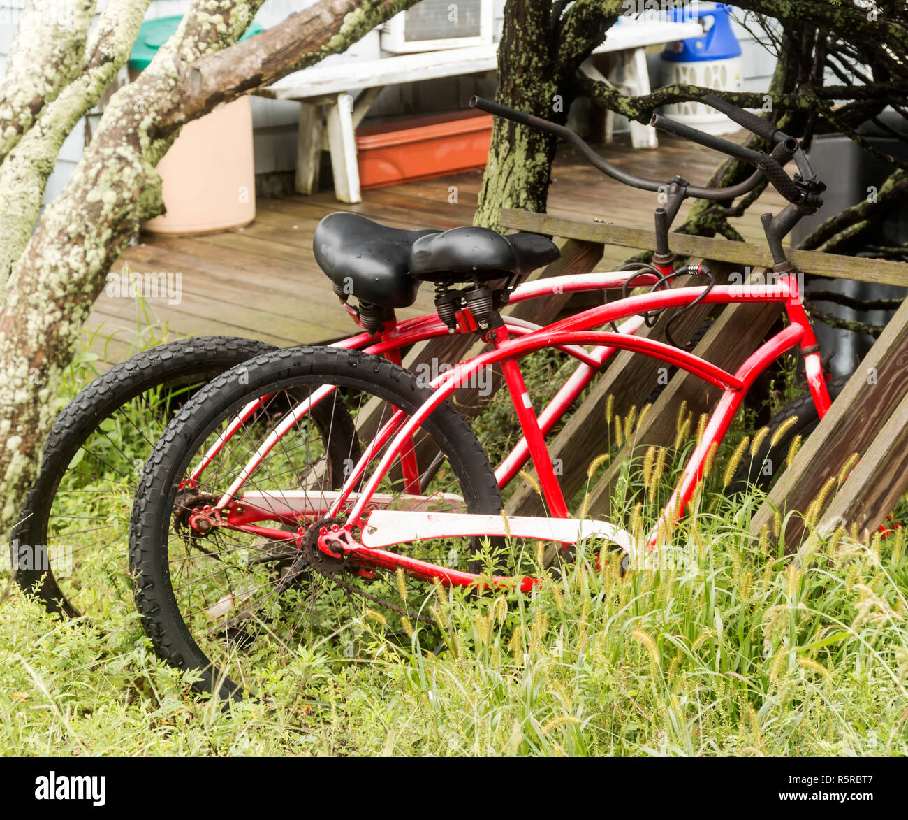 Two red beach bikes parked in the tall beach grass on Fire Island, New York. Stock Photo