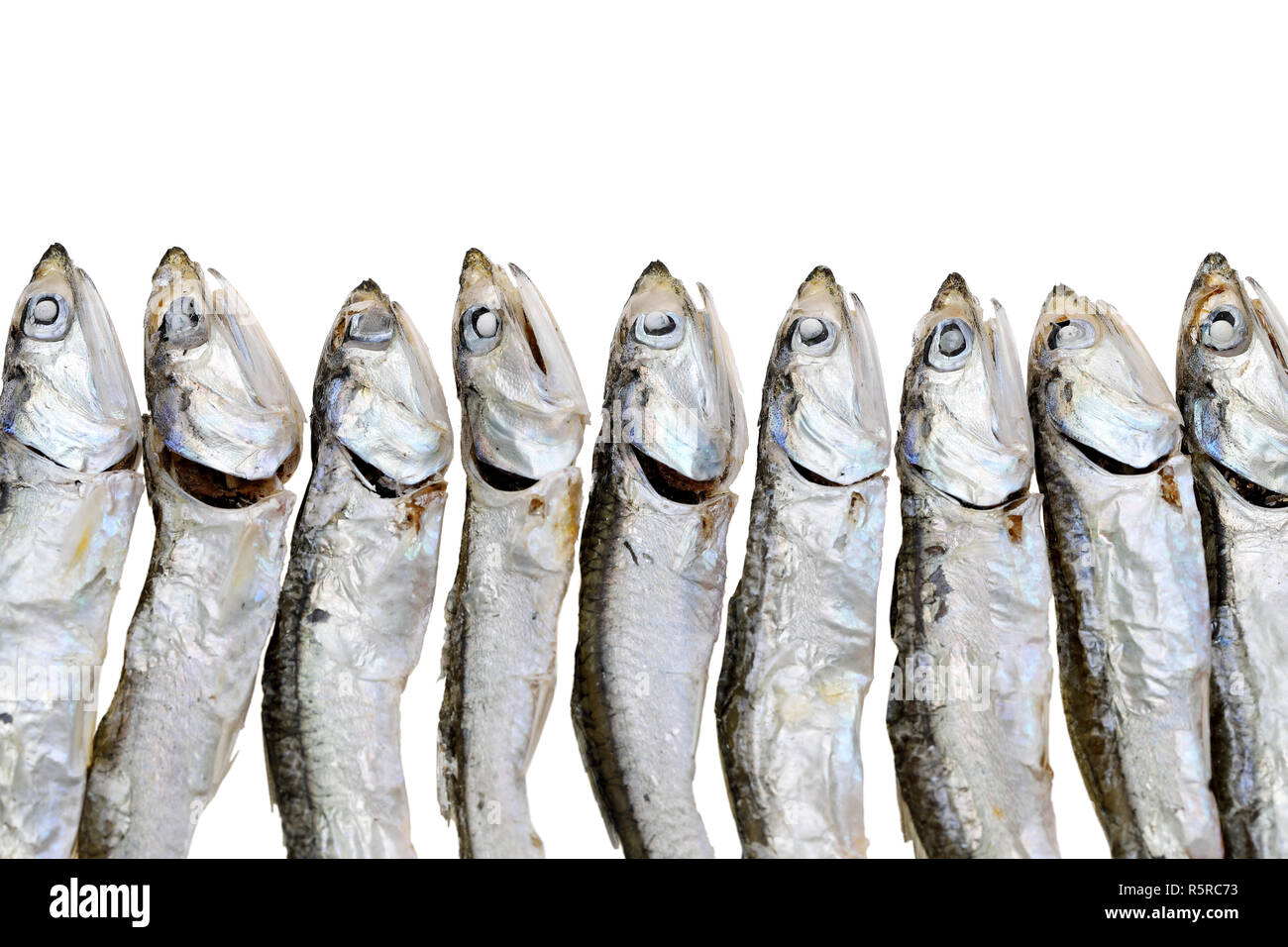 Small salted fish dried under the sun in Chanthaburi province, Thailand Sto...