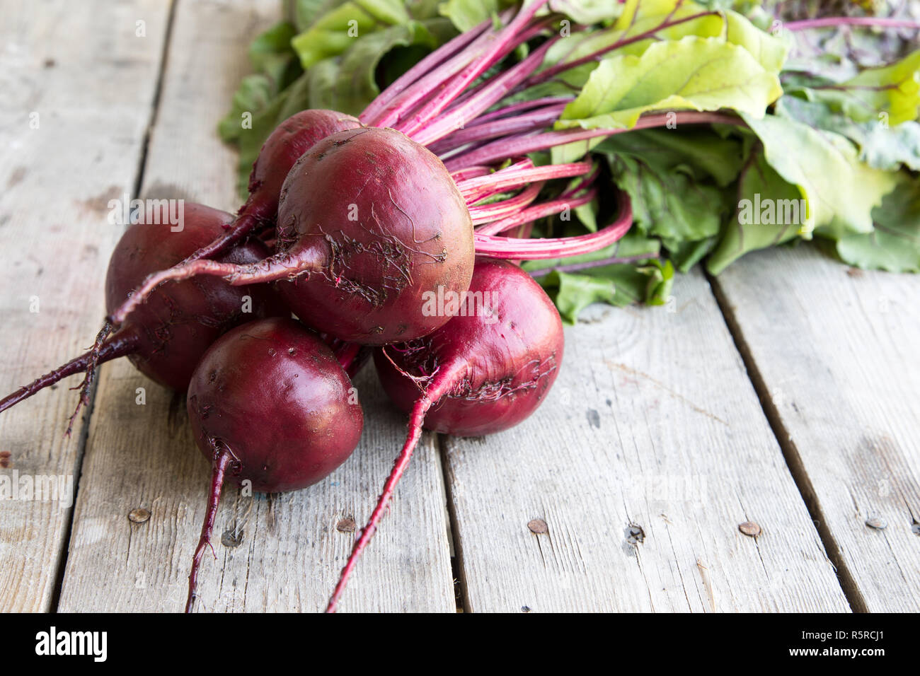 Red Beetroot with herbage green leaves on rustic background. Organic Beetroot Stock Photo